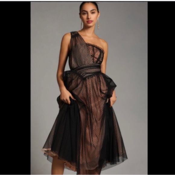 Anthropologie Dresses & Skirts - Anthropologie Tulle Dot Maxi Dress size 4